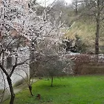 Zoe's Roma